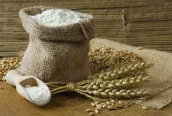 Wheat Flour Suppliers and Exporters
